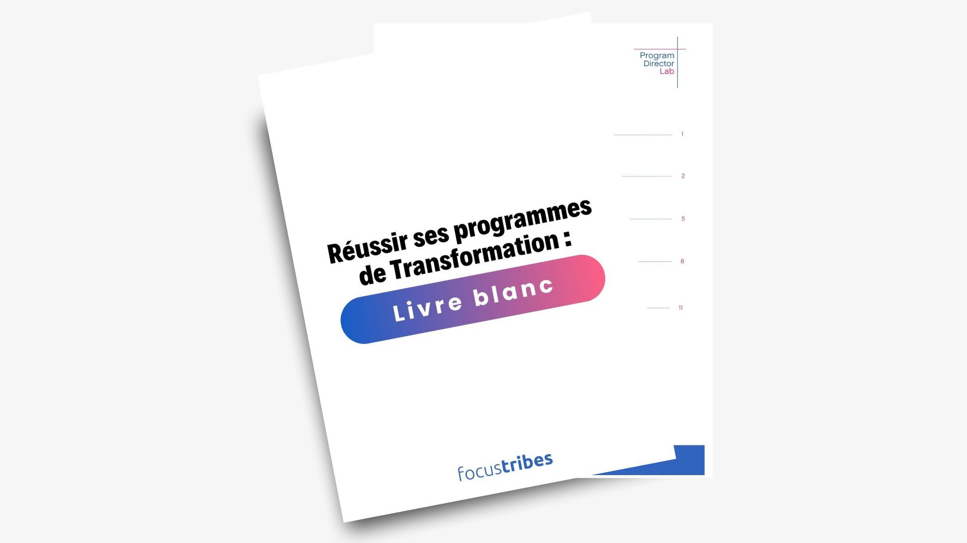 Réussir ses programmes de Transformation : le guide incontournable

