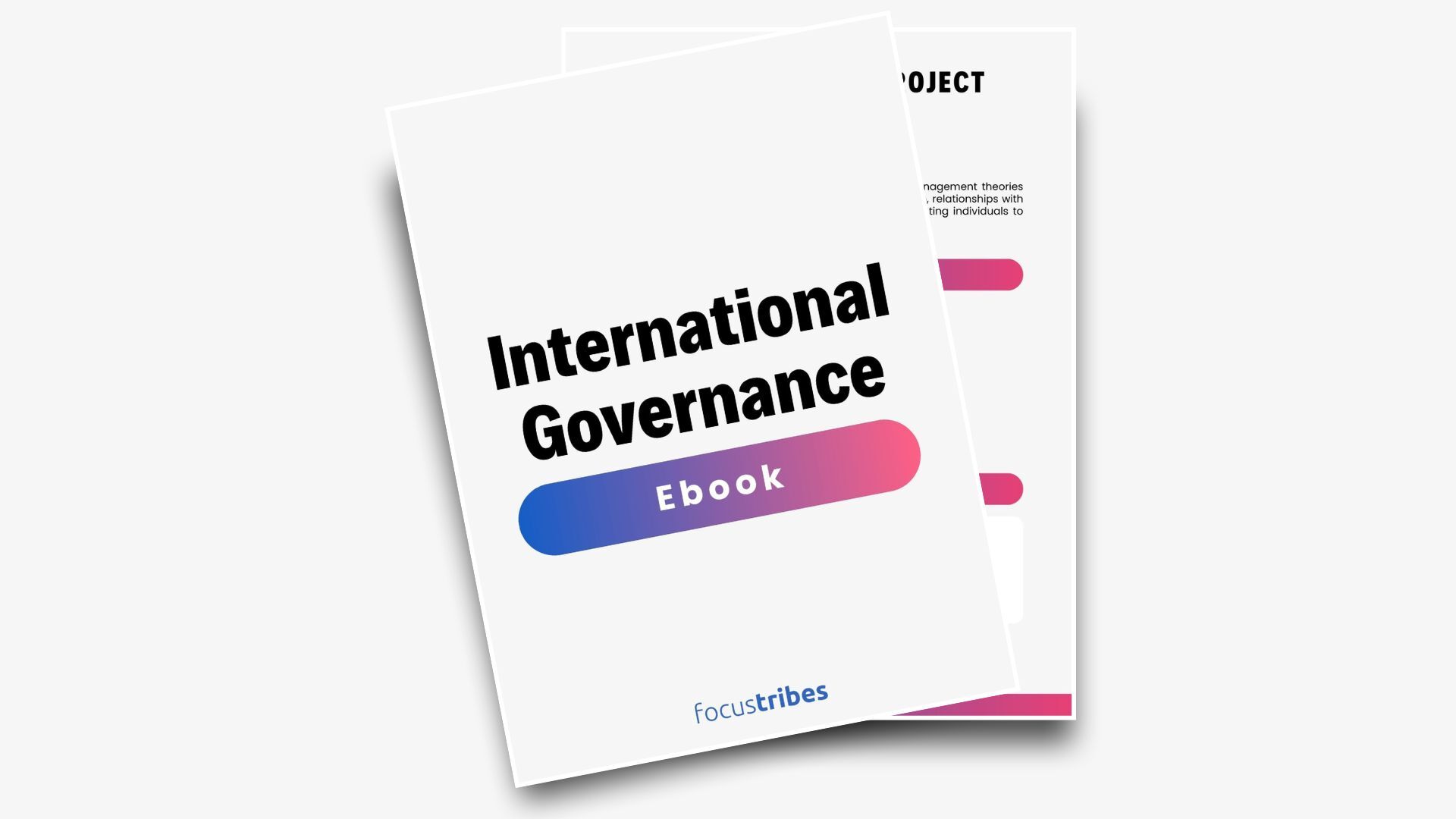 International Project Governance : the human touch leads to success
