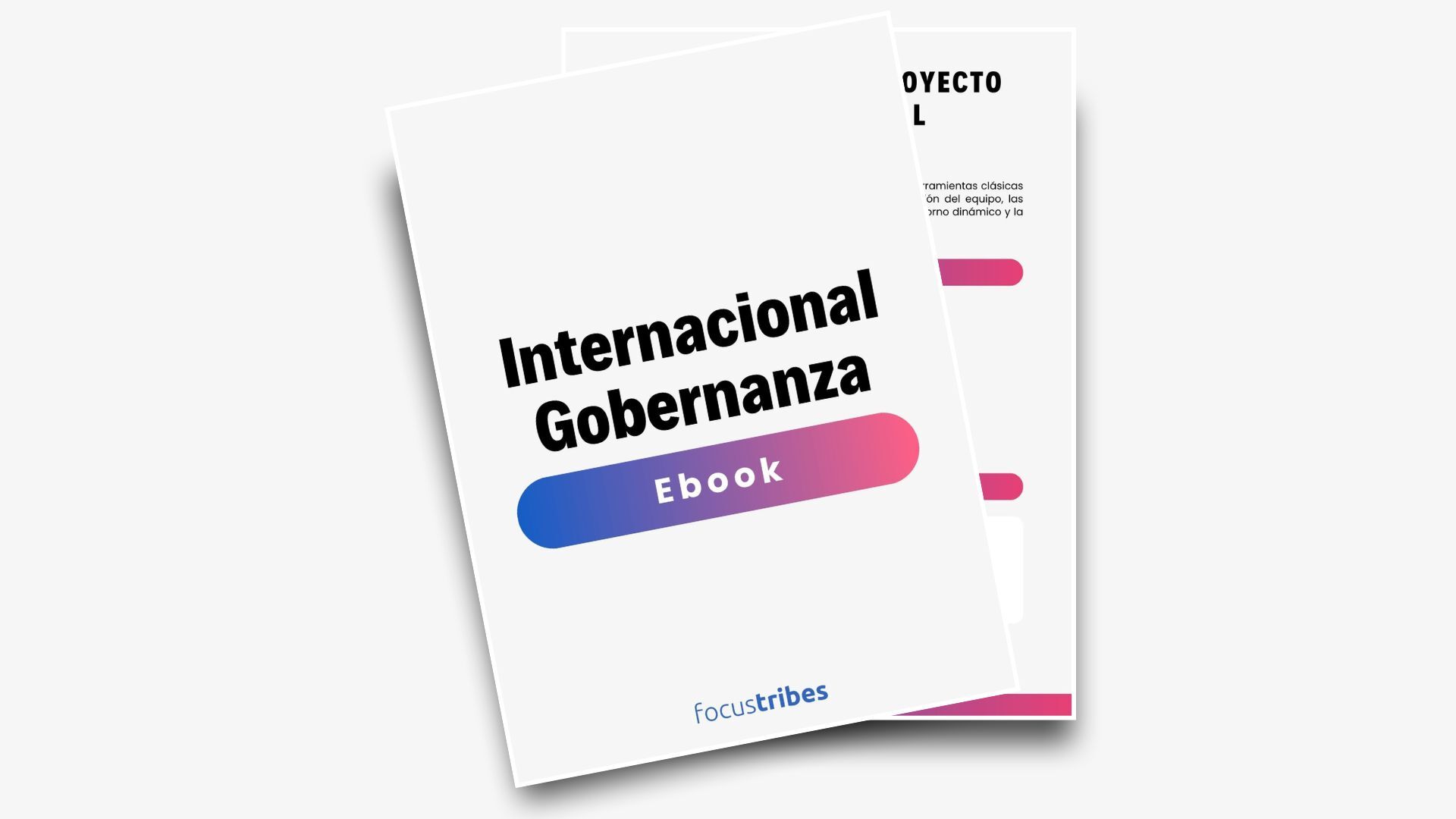 Gobernanza de proyecto internacional: el toque humano, clave del éxito
