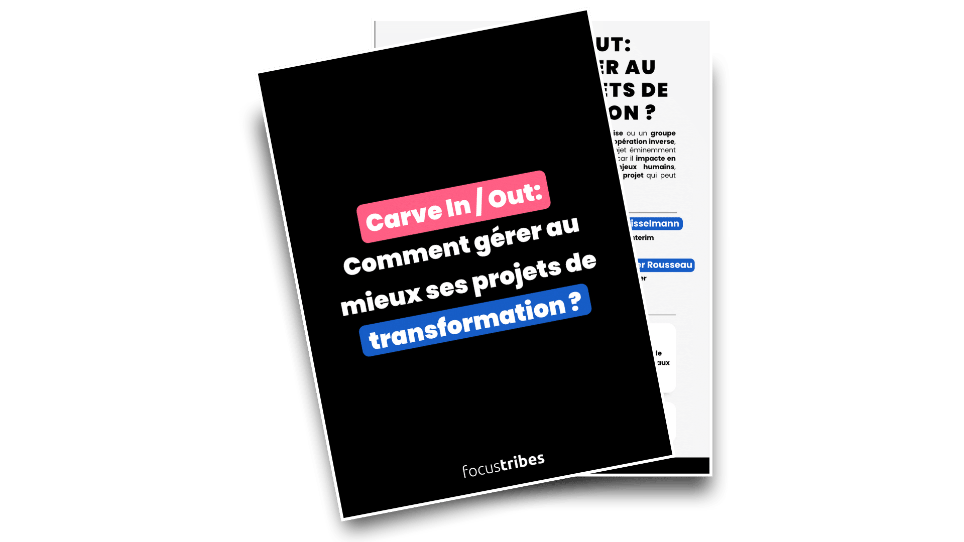 Carve In / Out : Comment gérer au mieux ses projets de transformation ?
