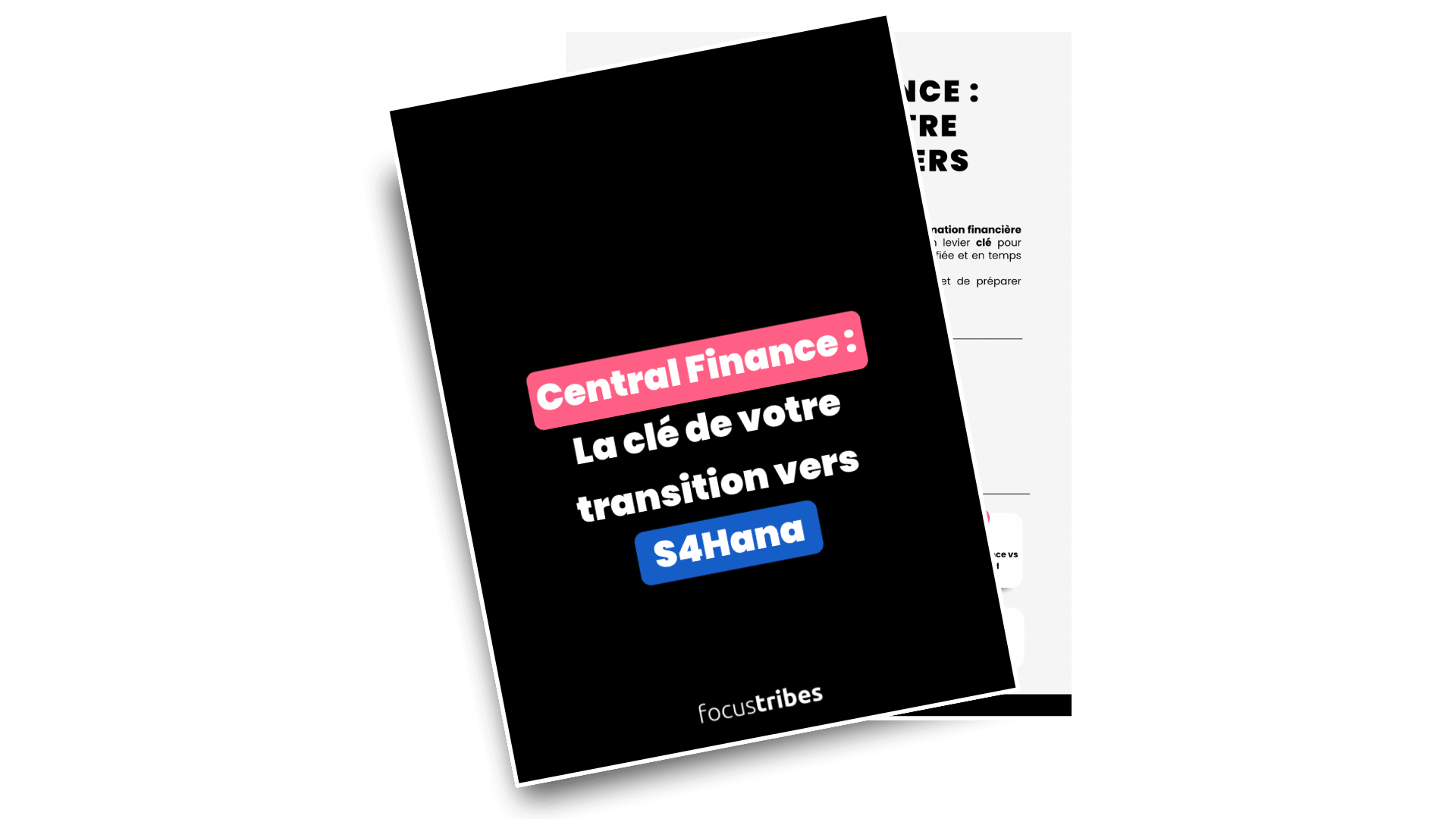 Central Finance : La clé de votre transition vers S4HANA
